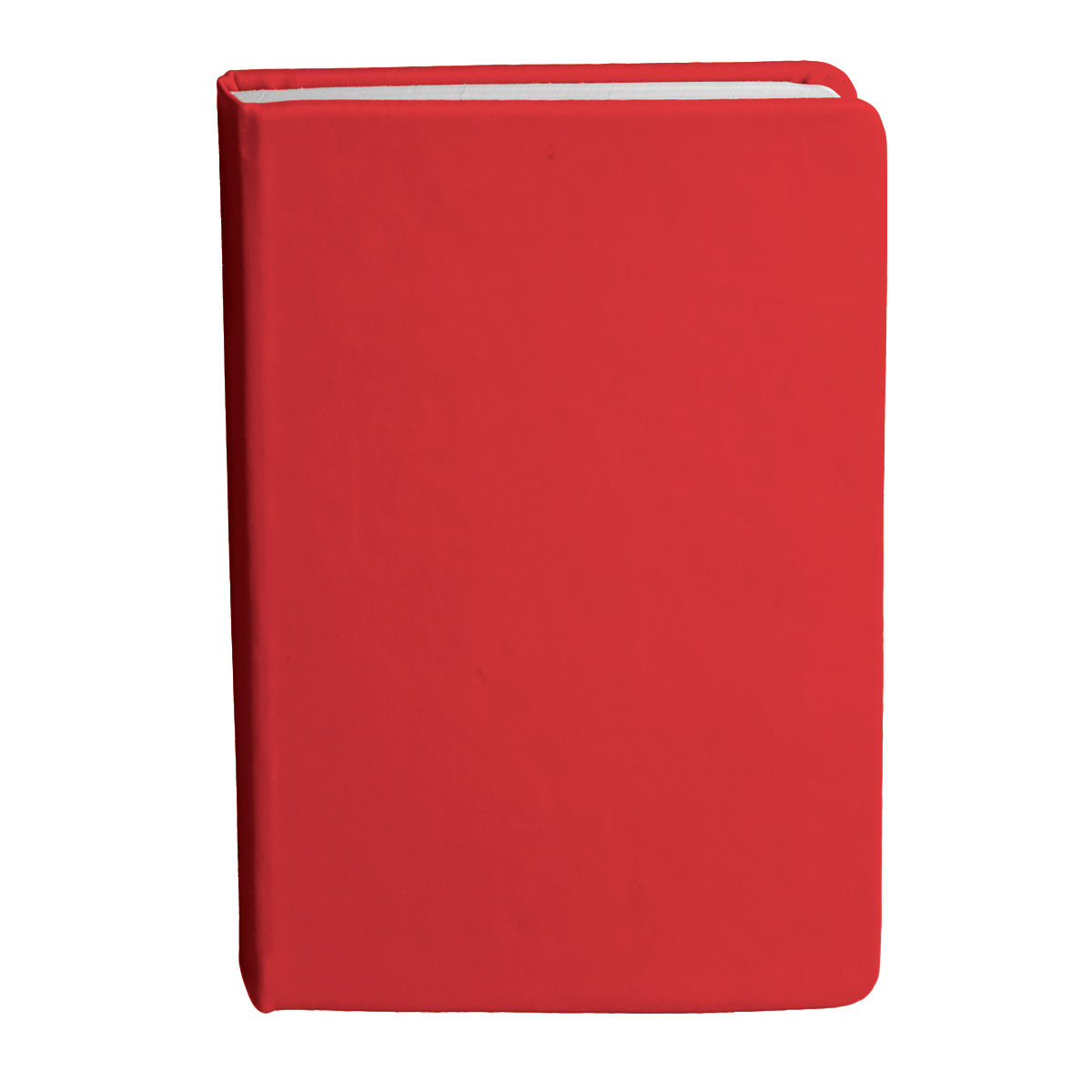Bingham Notebook - 25