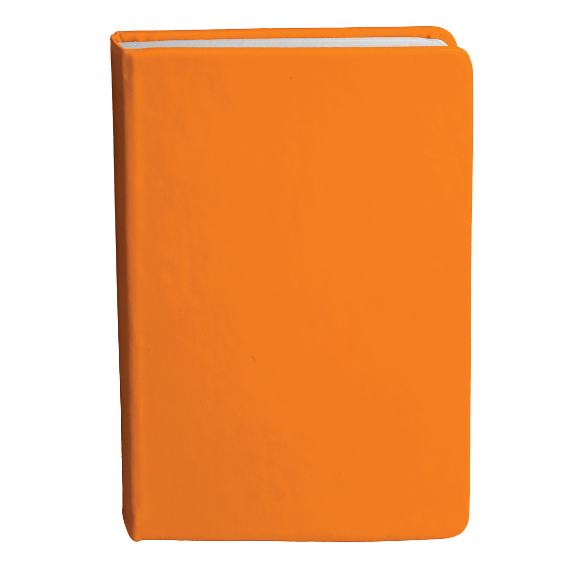 Bingham Notebook - 21