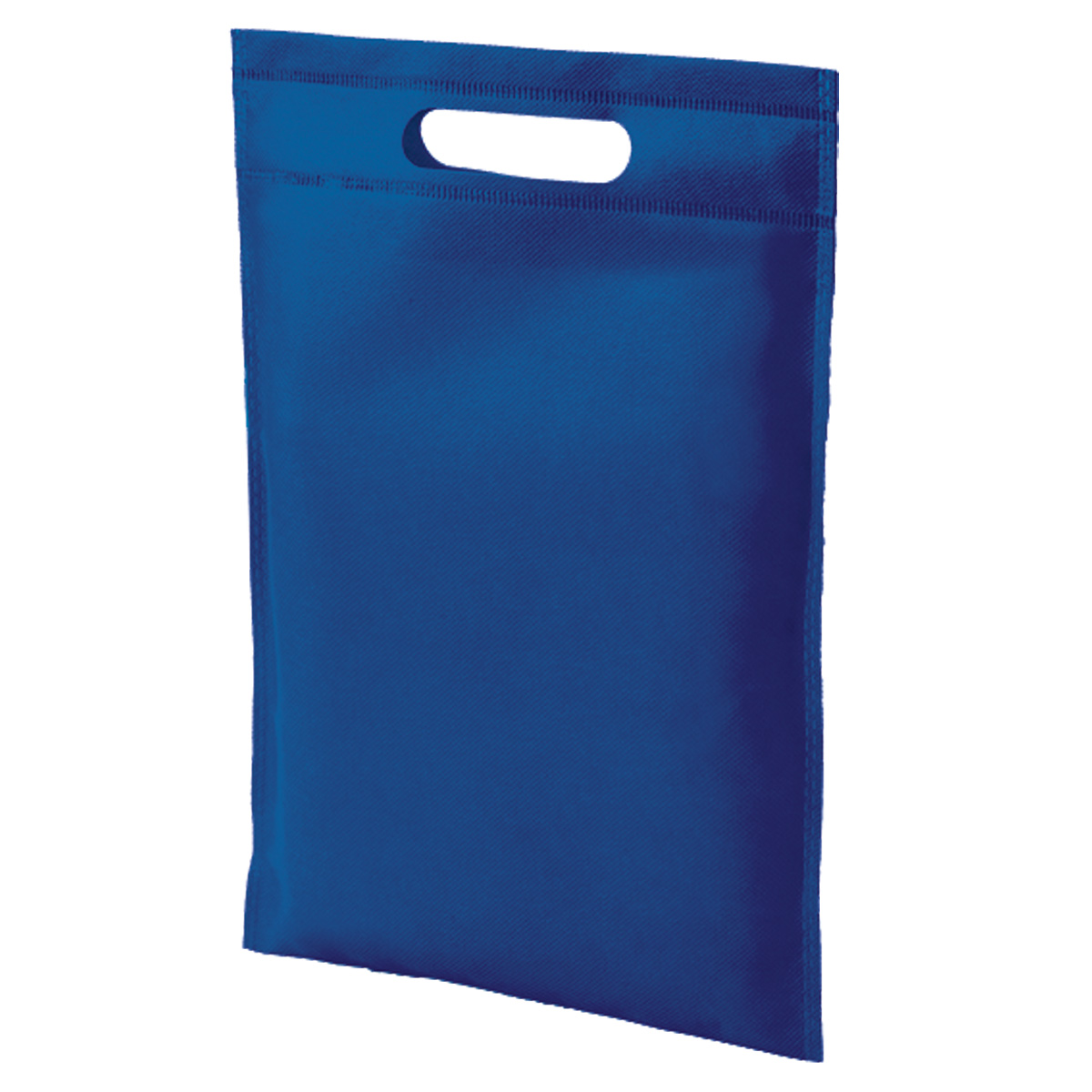 Dayminder Mini Bag - 12
