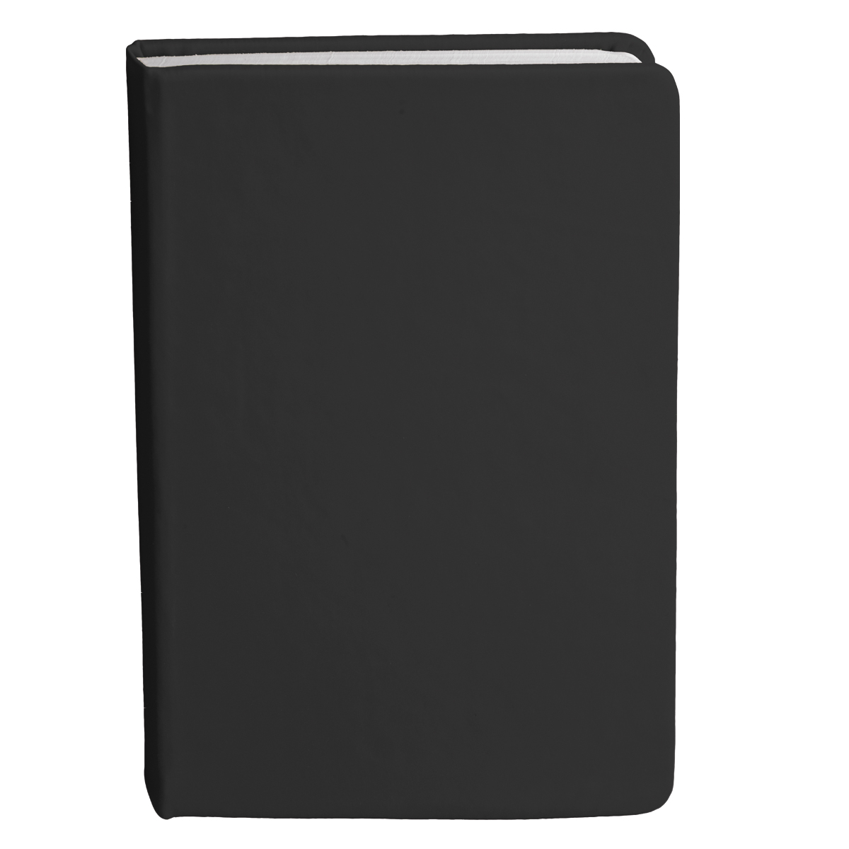 Bingham Notebook - 17