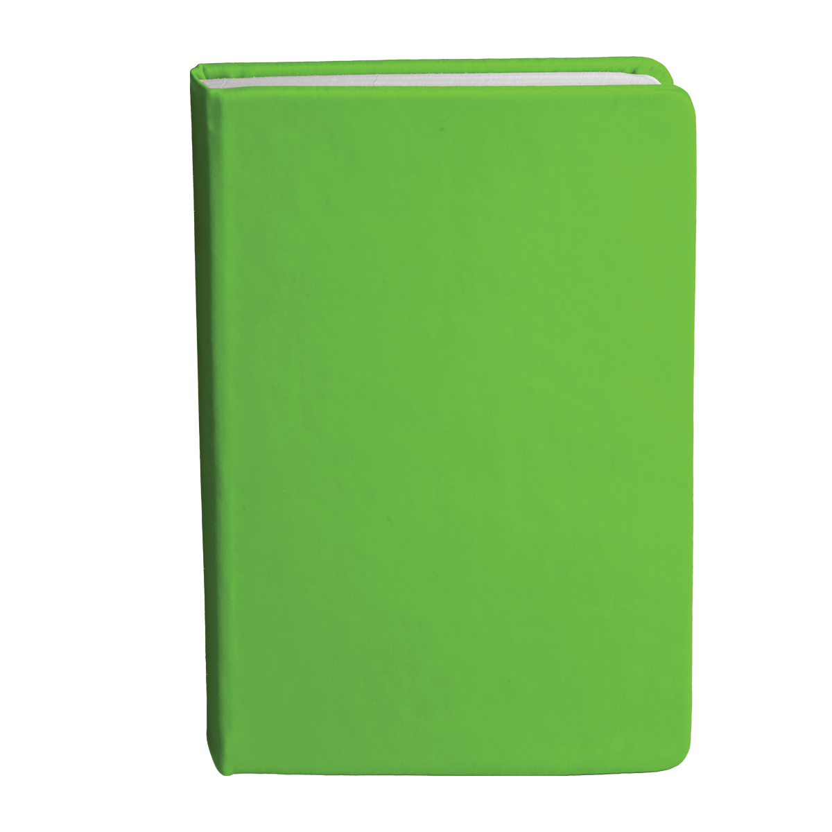 Bingham Notebook - 20