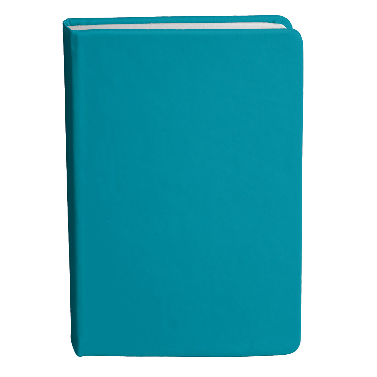 Bingham Notebook - 26
