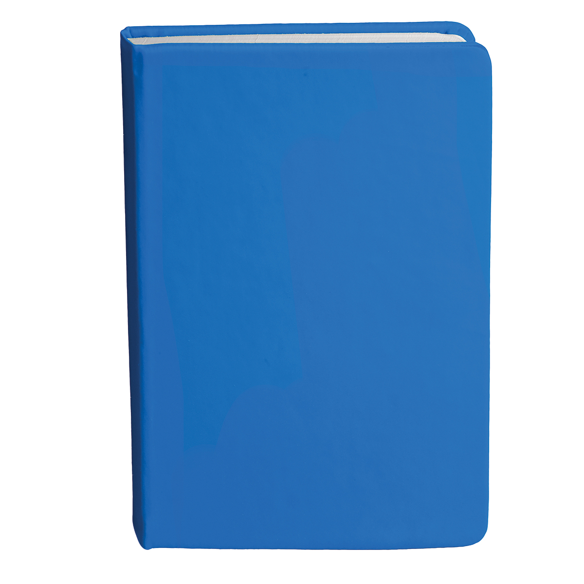 Bingham Notebook - 19