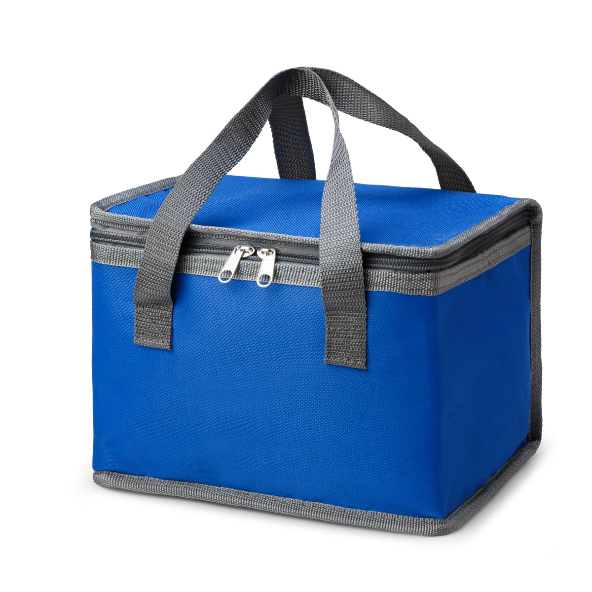 Colony 6 Can Cooler - 12