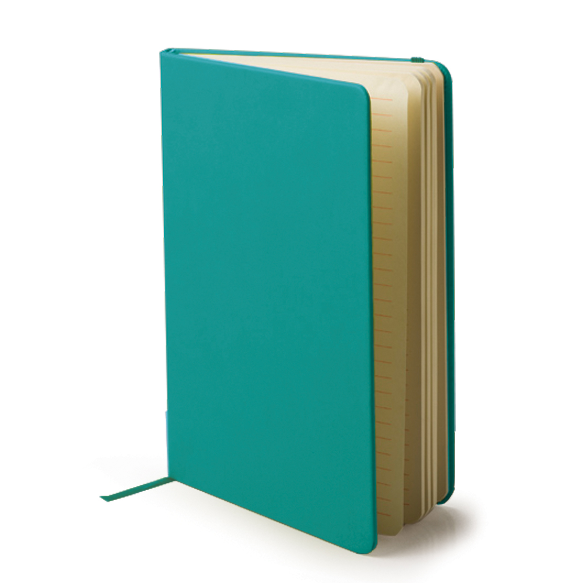A5 Sorbet Notebook - 12