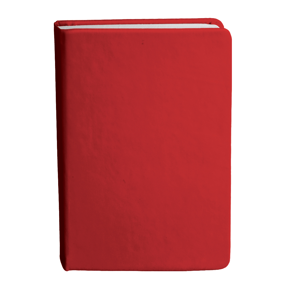 Bingham Notebook - 24