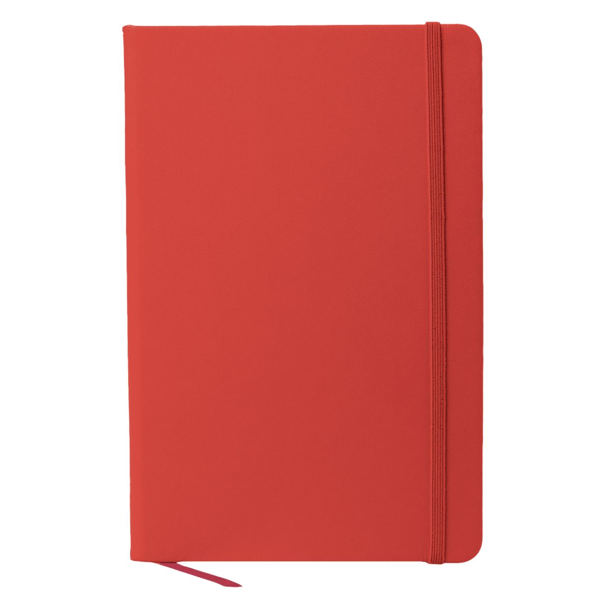 A5 Snapper Notebook - 17