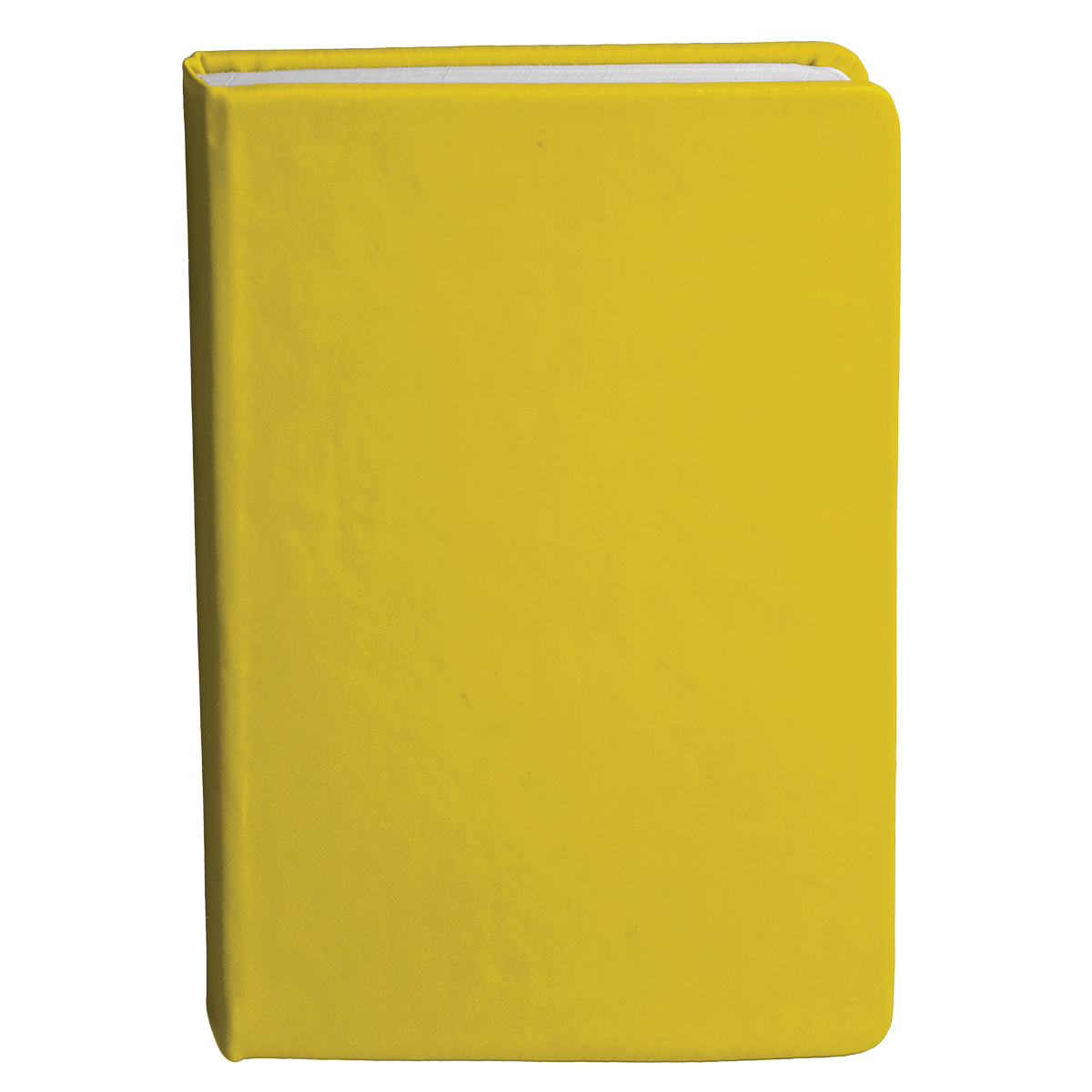 Bingham Notebook - 29