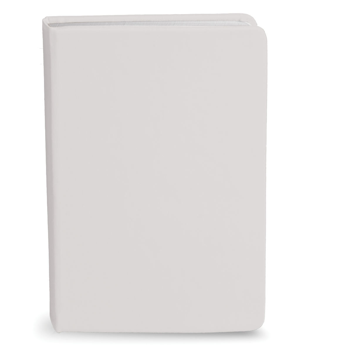 Bingham Notebook - 28