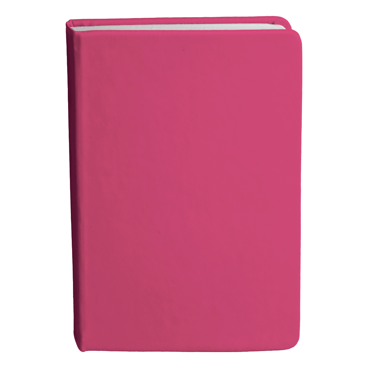 Bingham Notebook - 22
