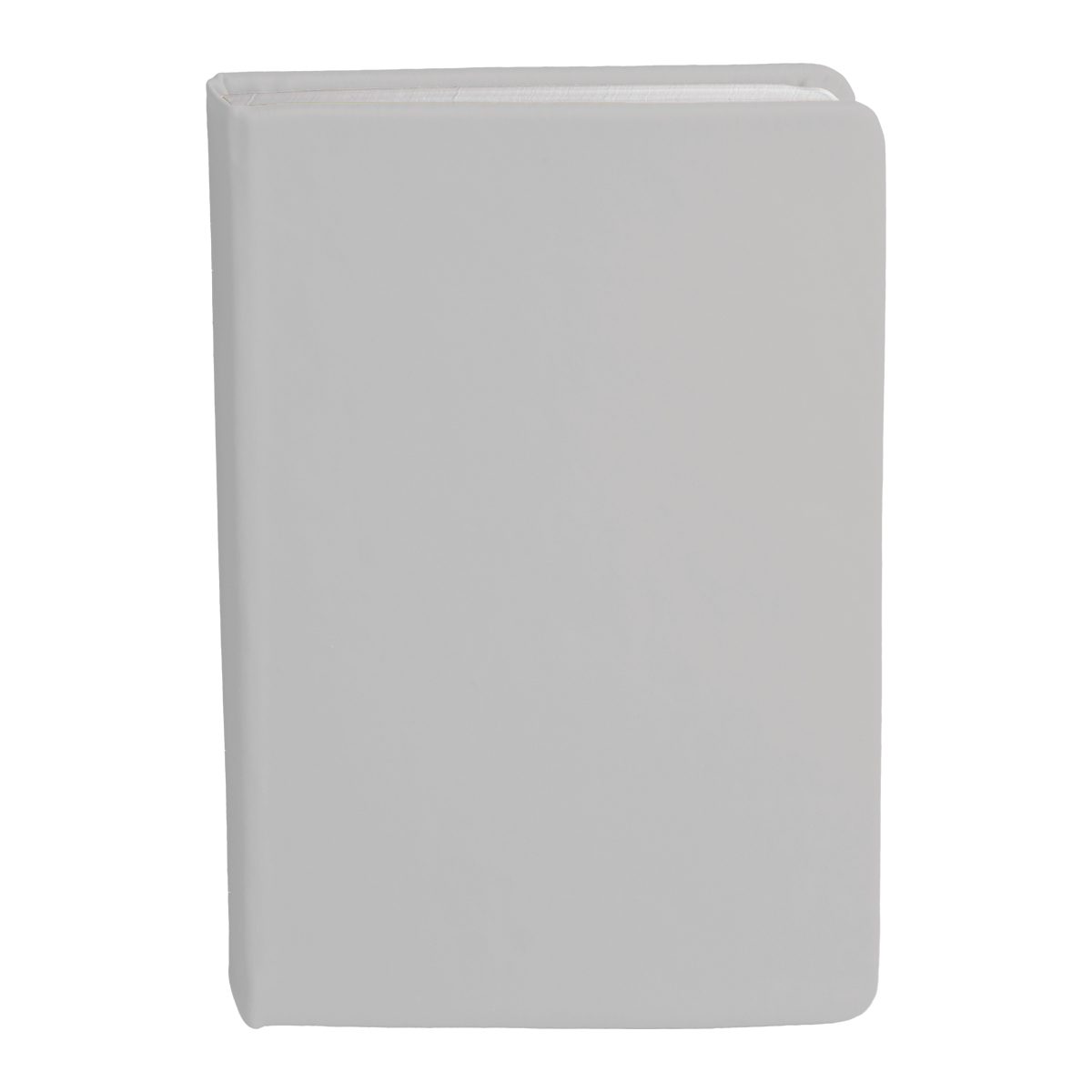 Bingham Notebook - 27