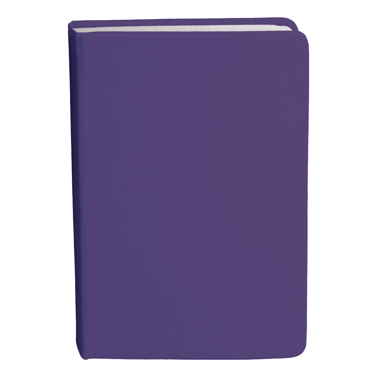 Bingham Notebook - 23
