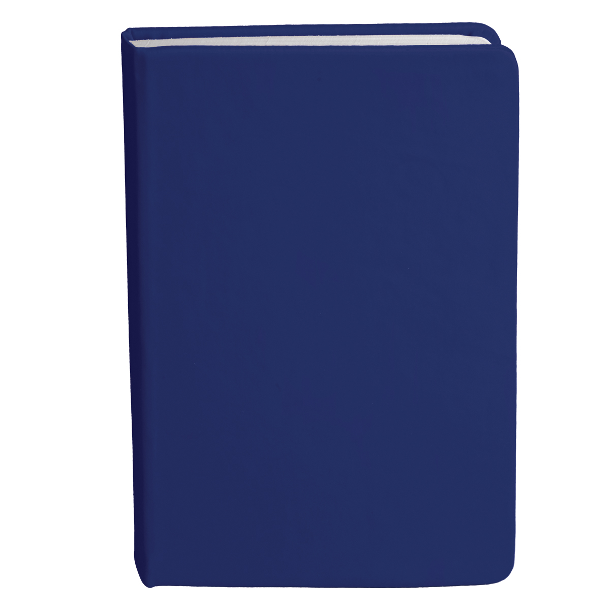 Bingham Notebook - 18