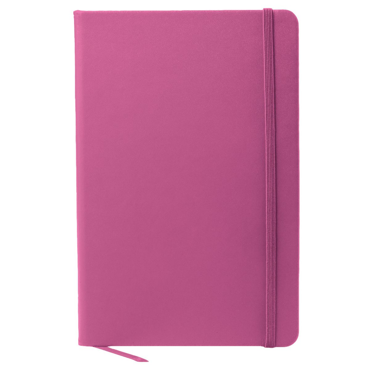 A5 Snapper Notebook - 23