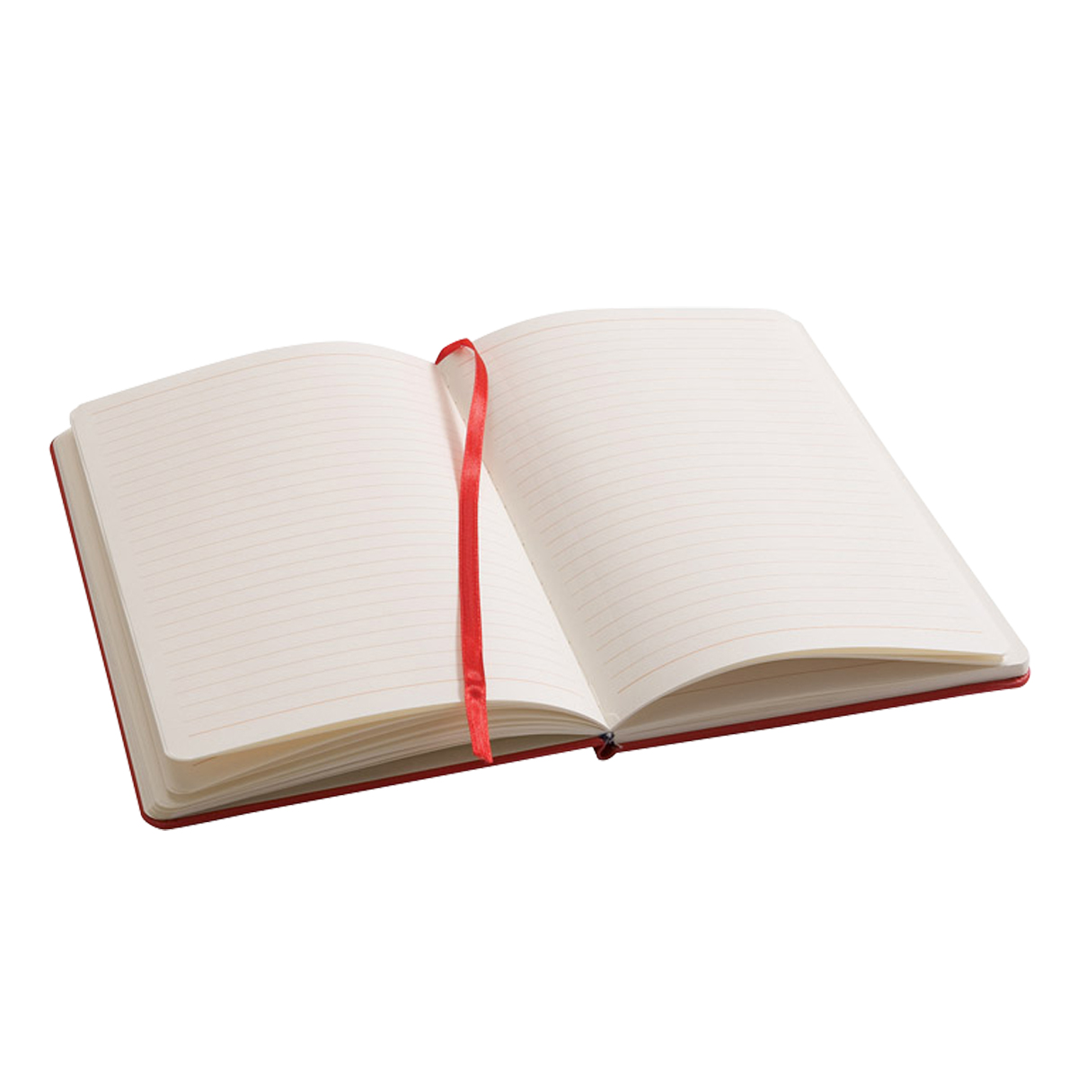 A5 Snapper Notebook - 7